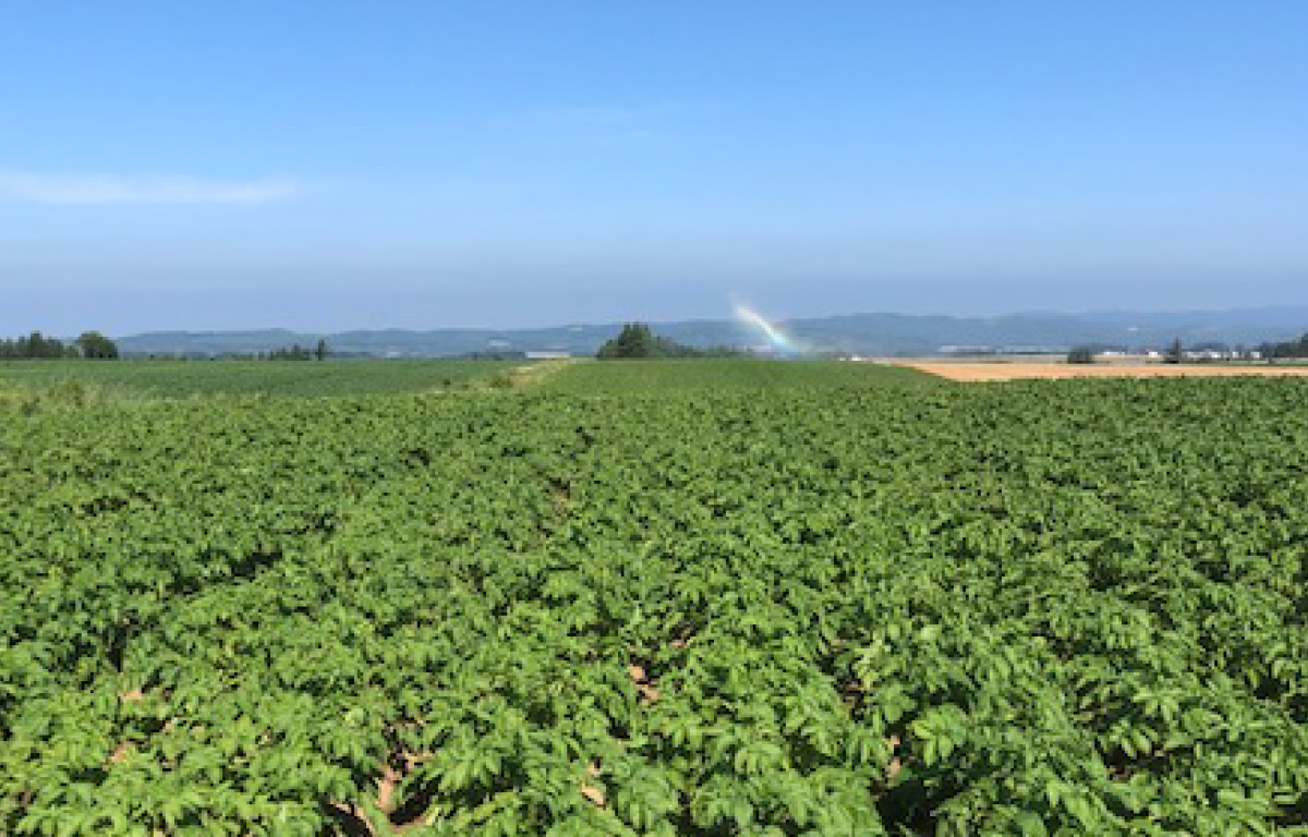 イメージ画像 北海道「まごころの里」